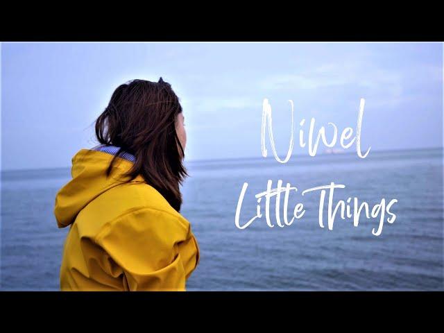 Niwel - Little Things (Lyric Video)