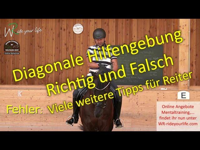 F142 "Diagonale Hilfengebung": Verstehen und Reiten lernen. Die Einwirkung des Reiters am Pferd.