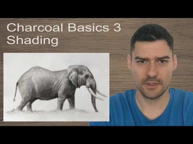 Charcoal Drawing Basics For Beginners - Shading