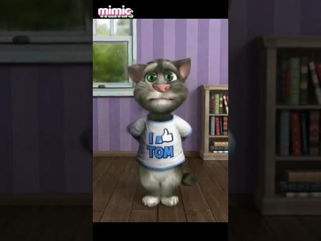 #talkingtomcat2