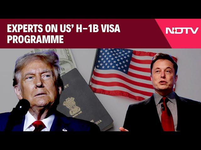 US Visa News | As Musk And Trump Back H-1B Visas, Experts Say It's Likely To Continue