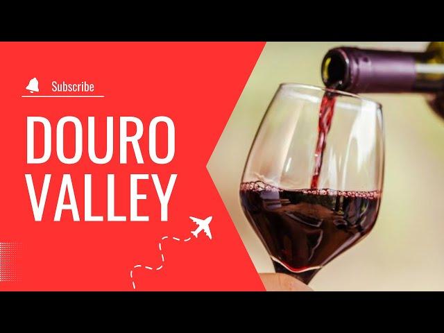 Douro Valley Tour: A Day of Wine, Views, and Adventure