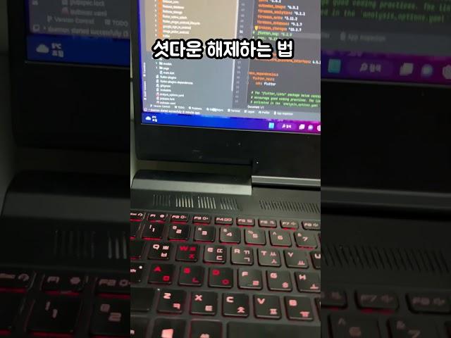 신기한거 보여줄까