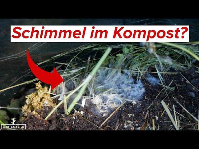 Schimmel im Kompost - Ist das schlimm? Wie kann man das verhindern?