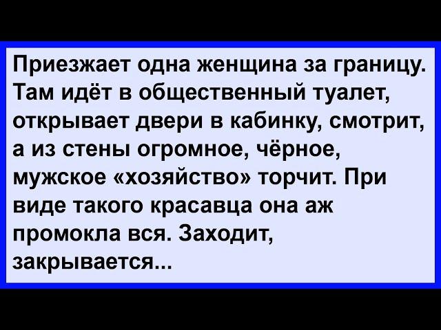 Как женщина за границей зашла в общественный туалет.... Анекдот клуб!