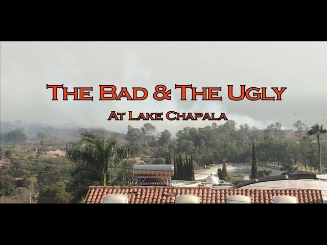 The Bad & The Ugly at Lake Chapala