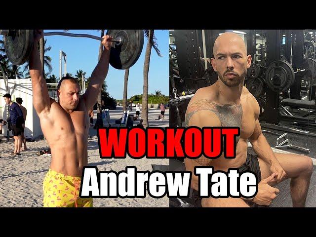 Andrew Tate Workout und meine Meinung. Sinnvoll?