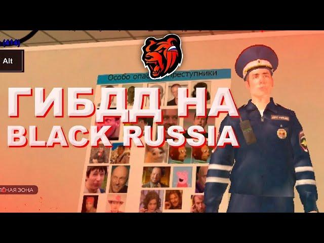 Обзвон на СС ГИБДД Black сервер