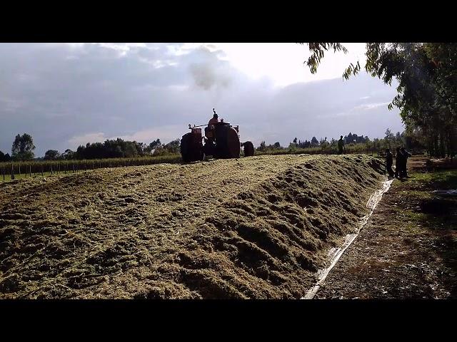 Chris compacting silage