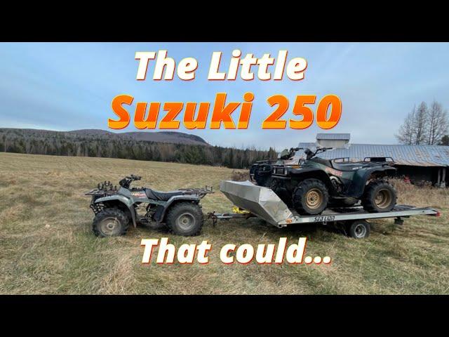 What SIZE ATV do You really need??? Watch what this little Suzuki 250 can do!