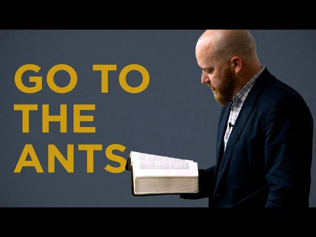 Go to the Ants | Toby Sumpter (Collegiate Reformed Fellowship)