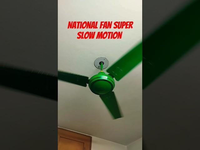 National fan super slow motion.🫐