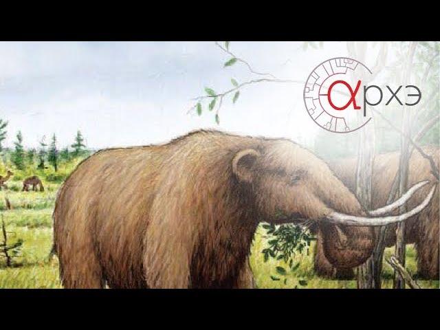 Ольга Смирнова: Концепция комплементарности в доантропогенный период и в современности