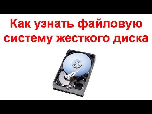 Как узнать файловую систему жесткого диска, SSD или флешки в Windows и Linux