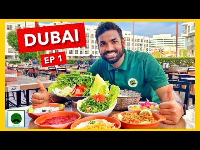 Best VEG Food in DUBAI | Falafel, Hummus & More | Veggie Paaji