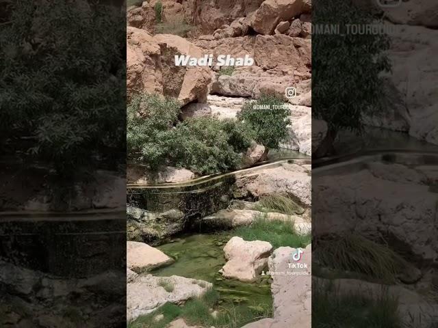 Wadi Shab is a very popular wadi located in the Al Sharqiyah Region in Oman.