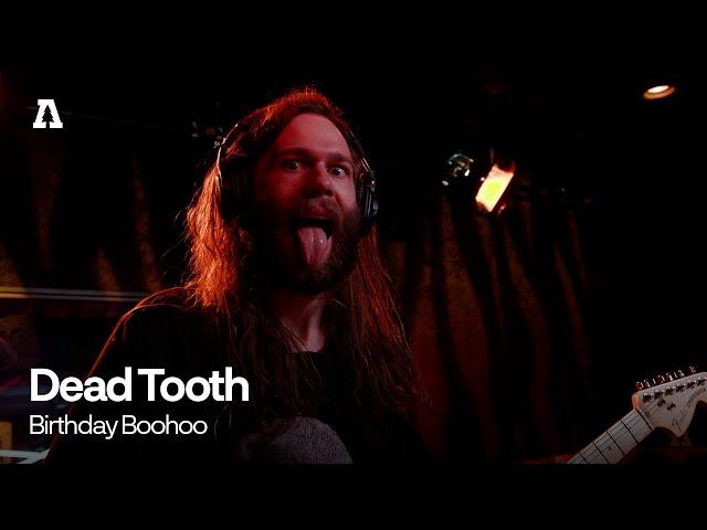 Dead Tooth - Birthday Boohoo | Audiotree Live