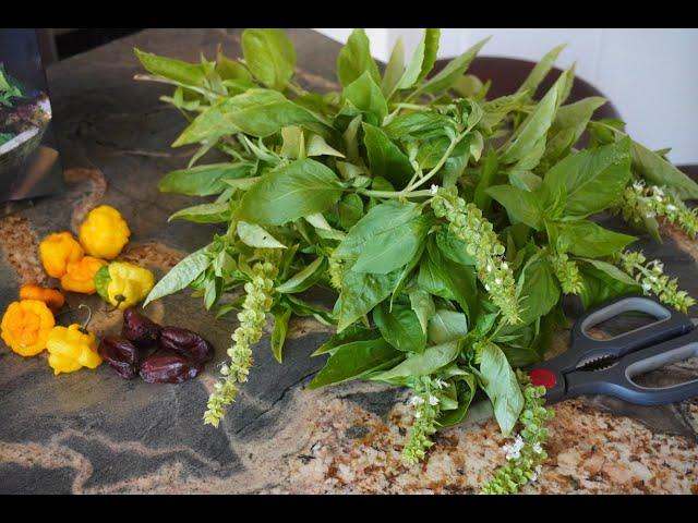 Yummy Basil, cilantro & scotch bonnet  pesto. Vegan friendly from Cecile it with a Kiss