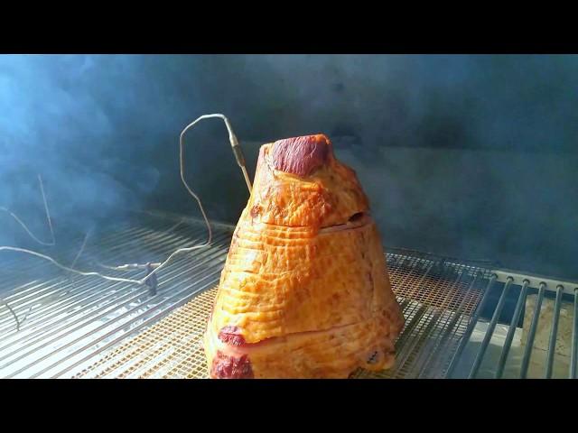 Savannah Stoker V4 Controlling  Blaz'n Grid Iron smoking a ham at 225 degrees