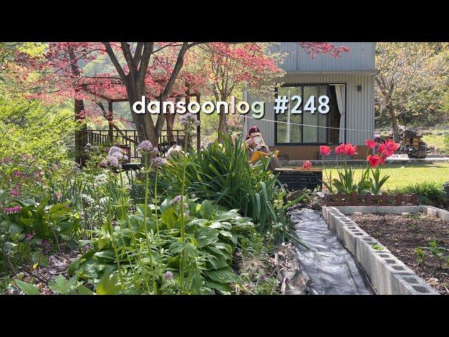 Spring rural Life in Korea vlog 248) My Garden