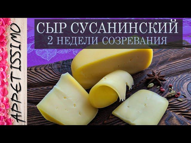 СЫР БЫСТРОГО СОЗРЕВАНИЯ (2 недели) СУСАНИНСКИЙ сыр: рецепт + секреты  Сыр в домашних условиях