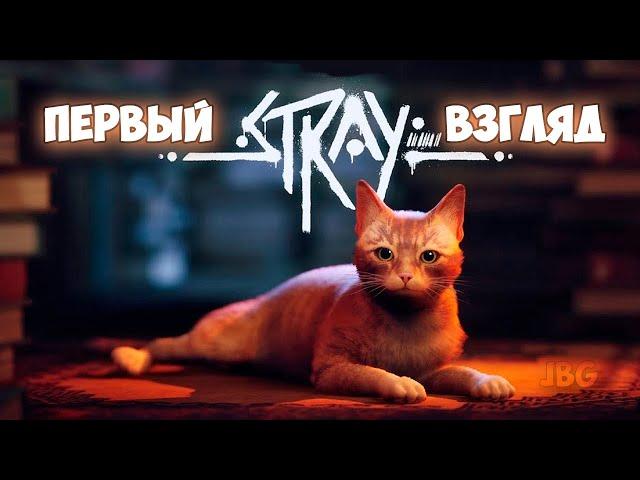 Stray - Cамая Милая Игра Про Кота - Первый Взгляд