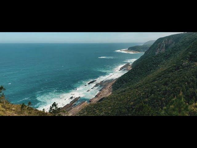 Tourism Lodge Tsitsikamma Forest Lodge, Garden Route South Africa On Auction 7 December 2023