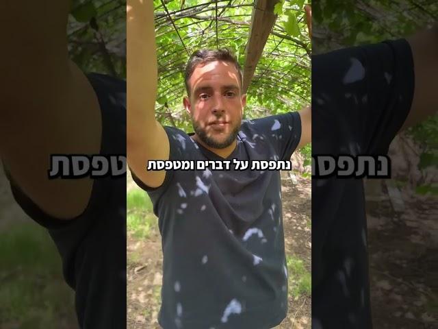 ידעתם את זה? #גפן