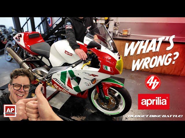 HOW BAD CAN IT BE? Budget Bike Battle Aprilia RSV Mille