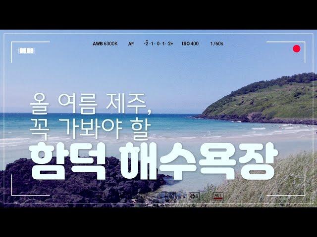 2021년 제주의 바다, '함덕 해수욕장' 개장 상황