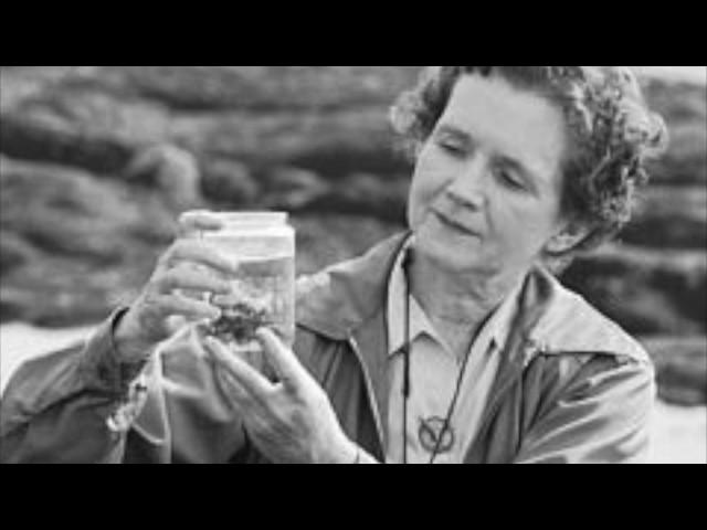 Rachel Carson: A Not So Silent Activist (National History Day Documentary 2017)