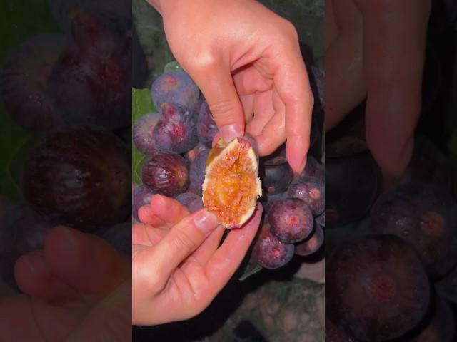 Nightly Delights: Serene Fig Fruit Unboxing & Relaxation #satisfying #relaxing #short