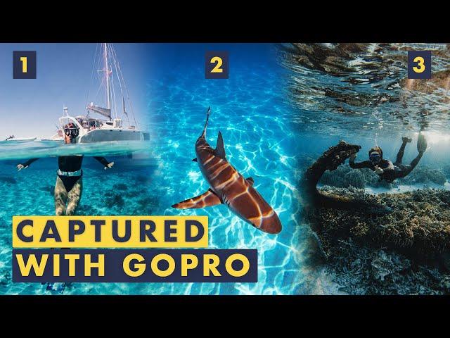 GoPro Underwater Photography Tips | Amazing Quality!