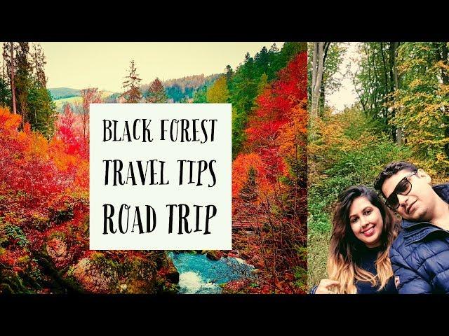 Black Forest, Germany Travel Tips: Top 5 Must See Attractions