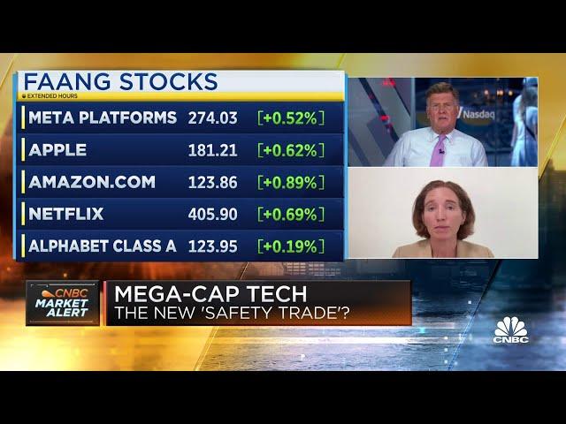 It's really hard to lose in mega-cap tech stocks right now, says Moneta's Aoifinn Devitt