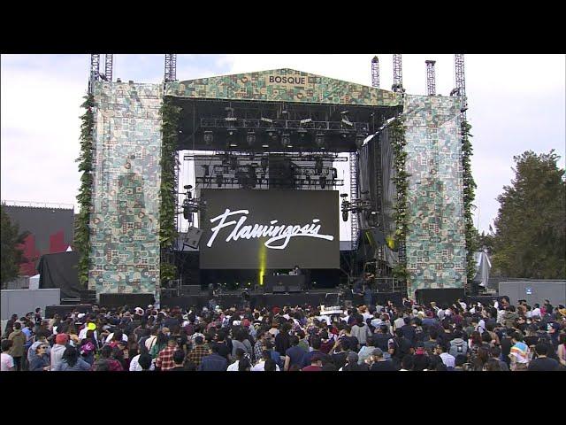 Flamingosis - Live From Corona Capital Festival in Mexico City