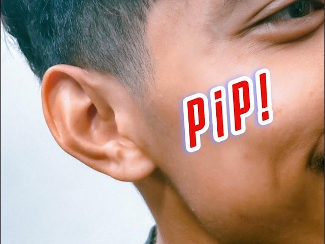 PIPI - Fahimi (Official Audio With Lyrics)