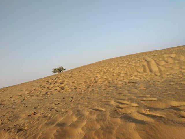 RAJASTHAN, Thar desert, Sand dunes, Jaisalmer