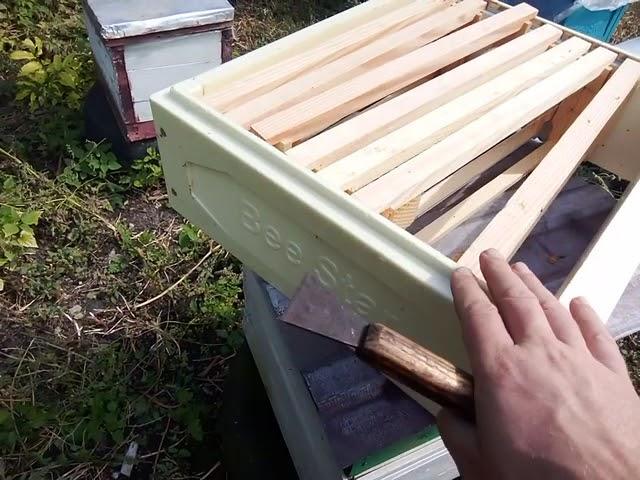 Корпус дадан десять рамок + магазини на 145 рамку. Річний цикл догляду за бджолами.