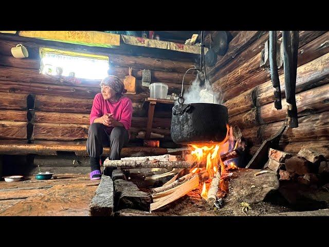 Live Alone in the Middle Wild Forest Taiga  Far From Civilization In Russia