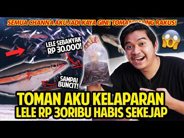 TOMAN AKU KELAPARAN! LELE RP 30RIBU HABIS SEKEJAP! SEMUA CHANNA AKU JADI KAYA GINI! TOMAN TERRAKUS!