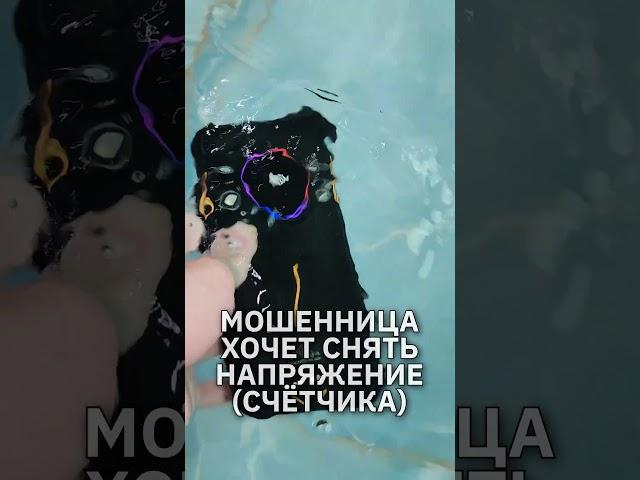 Мошенница "из Энергосбыта" хочет снять напряжение (счётчика) #пранк #юмор #прикол #мошенникизвонят