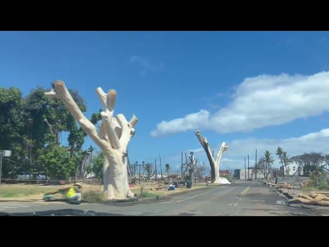 Recovery efforts one year after Maui wildfire