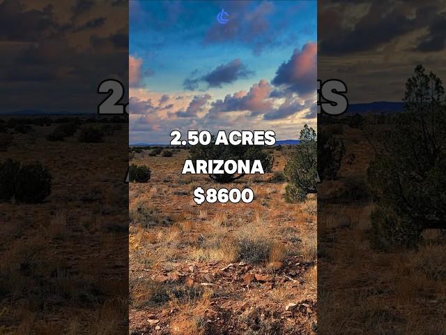 2.50 Acres with road access for Sale in St Johns, Arizona for $8,600. Taxes are $64/year. #land #fyp