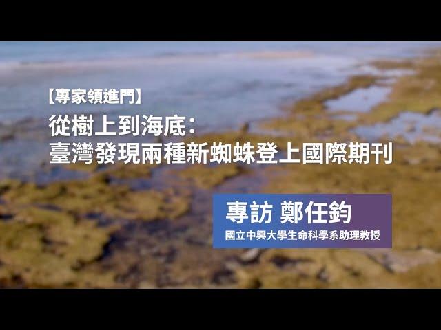 【專家領進門】從樹上到海底：臺灣發現兩種新蜘蛛登上國際期刊