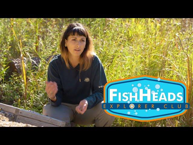 Turtle Nesting Boxes | Fish Talk with Leo | Parks Canada