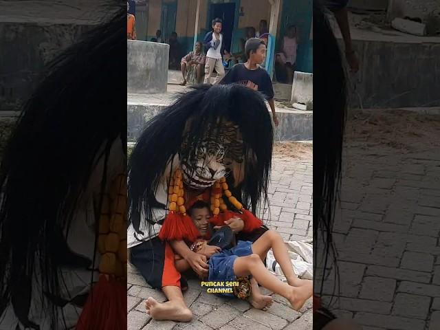 Ketangkap barongan ngamuk !! #short #barongan #baronganblora #pandjisabdhajagad