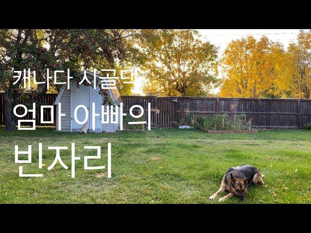 [Eng]캐나다 일상-코로나 속 캐나다 공립학교 개학|반려견과 놀아주기|My dog’s post Covid19 life! Mom and Dad went back to work!