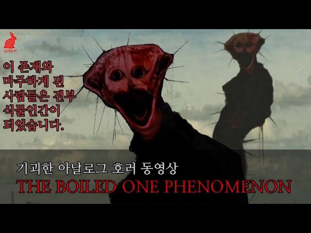 아날로그호러ㅣ닥터 노웨어-THE BOILED ONE PHENOMENON - 이 기괴한 얼굴을 한 존재를 본 사람들은 전부 식물인간이 되어버렸다... @doctornowhere