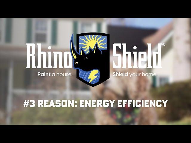 #3 Reason Big Paint Doesn’t Want You to Know About Rhino Shield of Colorado